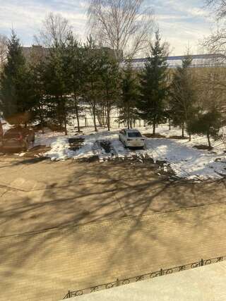 Гостиница Джаз Электросталь Двухместный номер с 1 кроватью и видом на парк-1